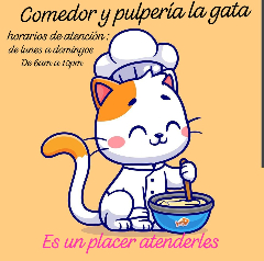 COMEDOR LA GATA PACEÑA